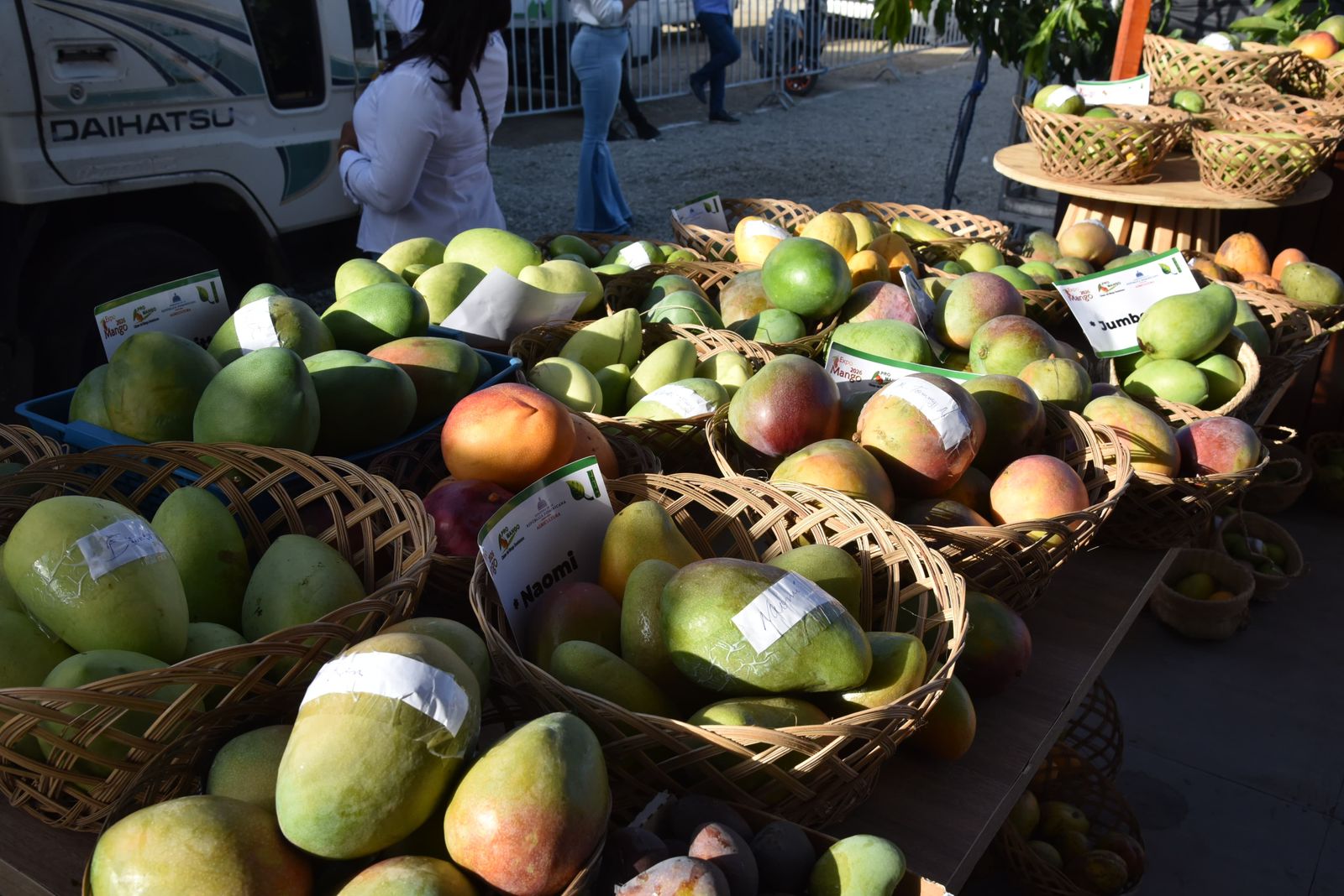 Ministro de Agricultura destaca crecimiento de exportaciones de mango en Expo Mango 2026