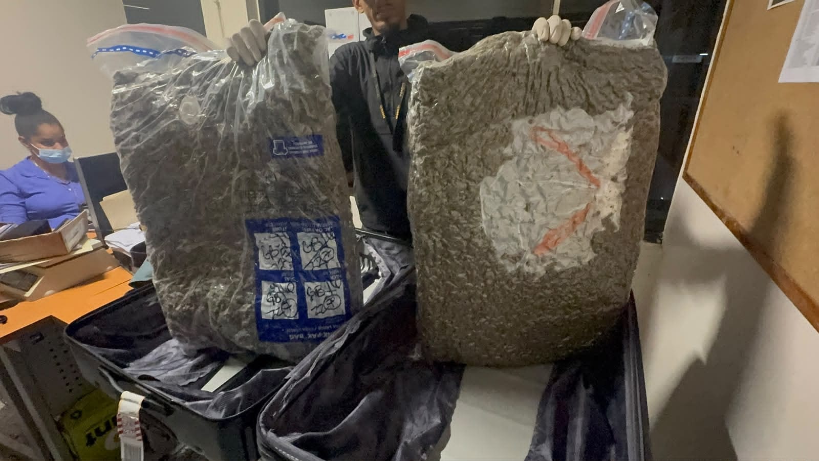 Incautan maleta con 28 libras de marihuana en AILA