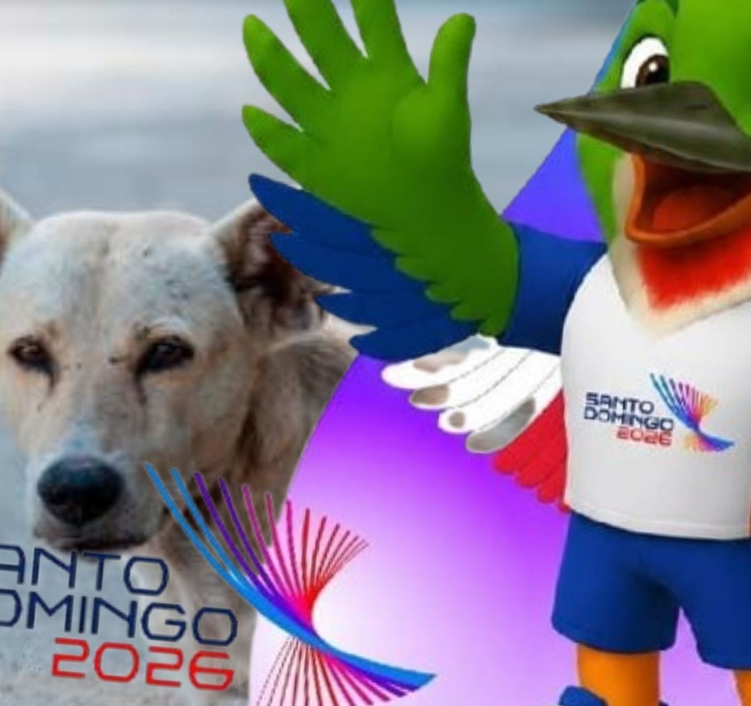 Protegen perros que habitan en instalaciones de Juegos Centroamericanos