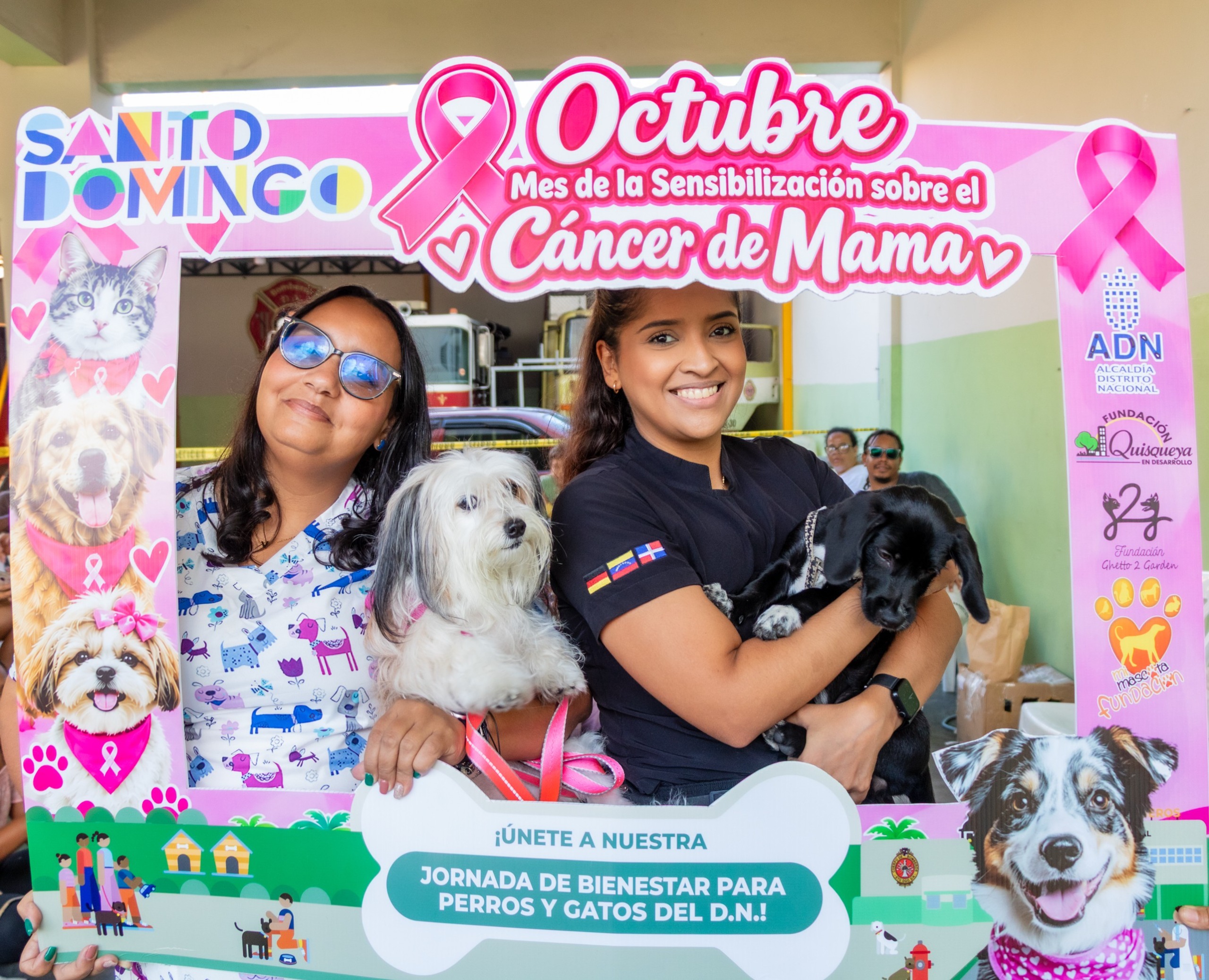 ADN esteriliza 107 perros y gatos en jornada de bienestar animal
